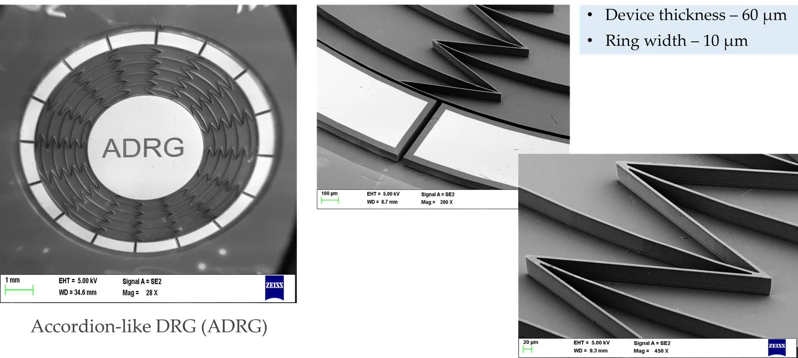 SEM micrographs of fabricated ADRG showing accordion-like ring structure at multiple magnifications